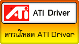 AMD Driver